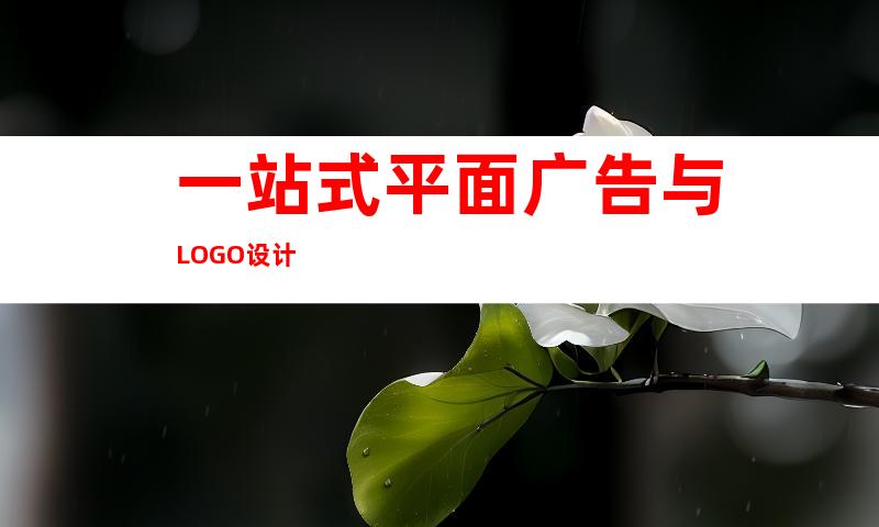 一站式平面广告与LOGO设计