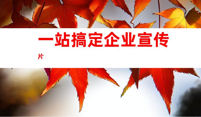 一站搞定企业宣传片