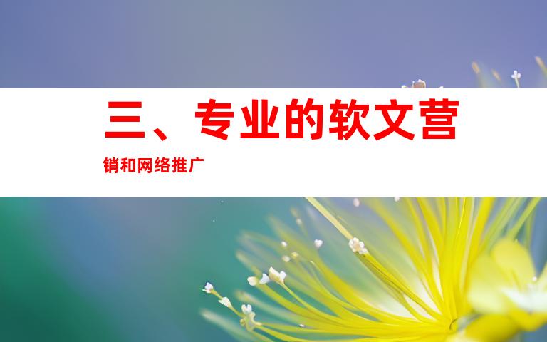 三、专业的软文营销和网络推广