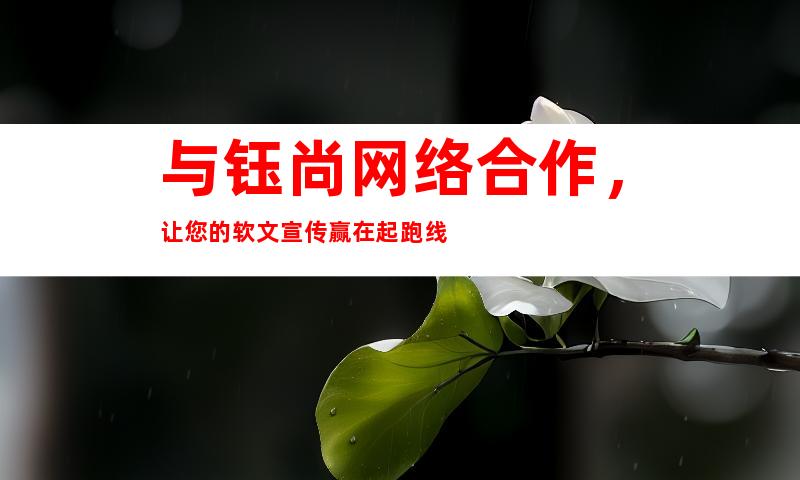 与钰尚网络合作，让您的软文宣传赢在起跑线