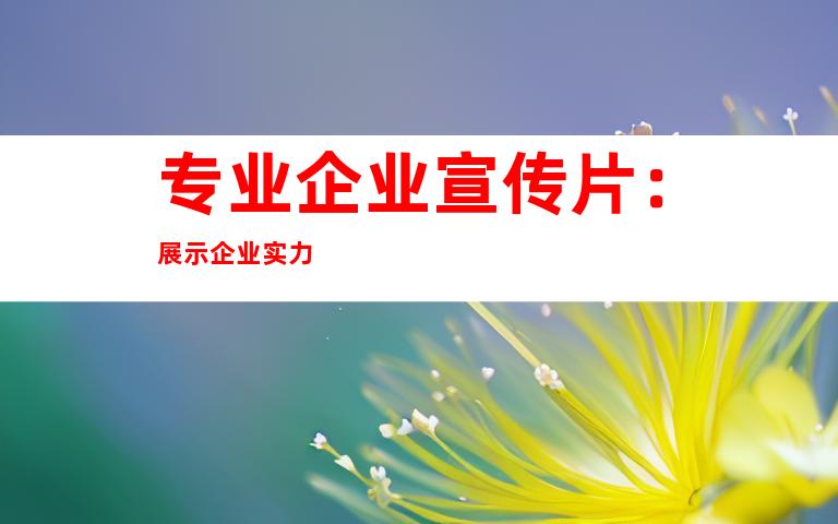 专业企业宣传片：展示企业实力