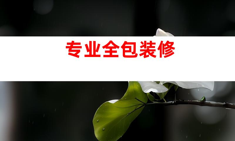 专业全包装修