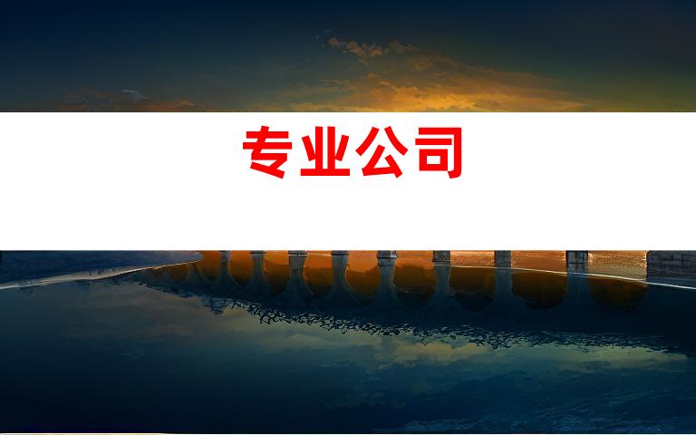 专业公司