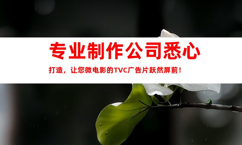 专业制作公司悉心打造，让您微电影的TVC广告片跃然屏前！