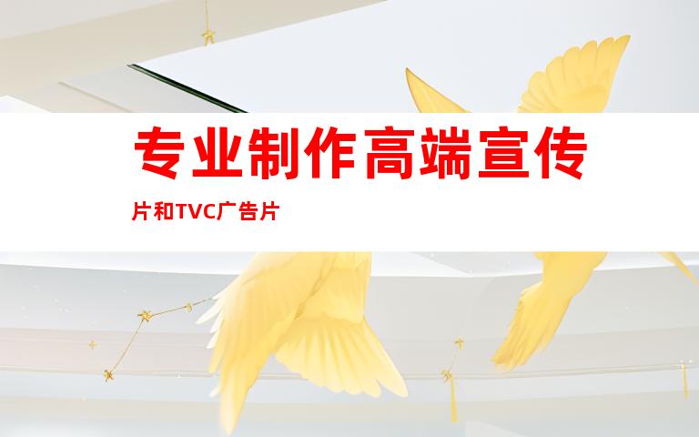 专业制作高端宣传片和TVC广告片