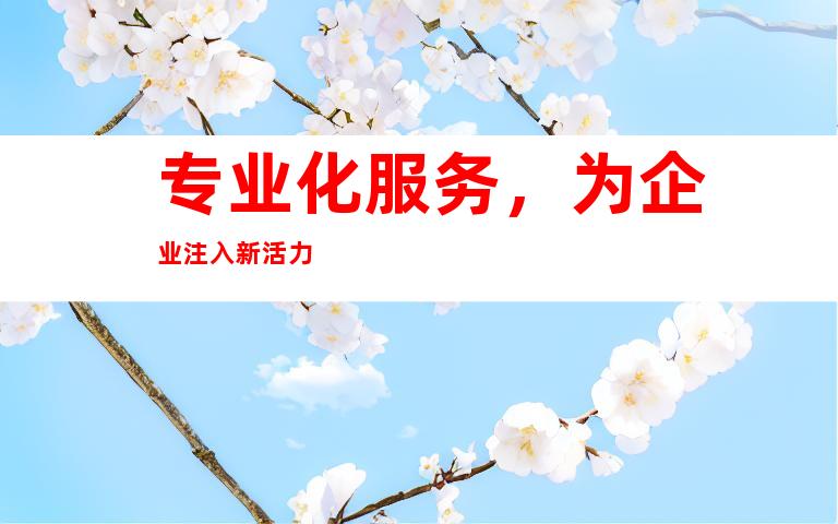 专业化服务，为企业注入新活力