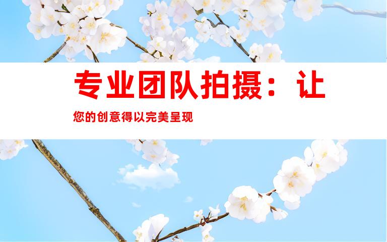 专业团队拍摄：让您的创意得以完美呈现