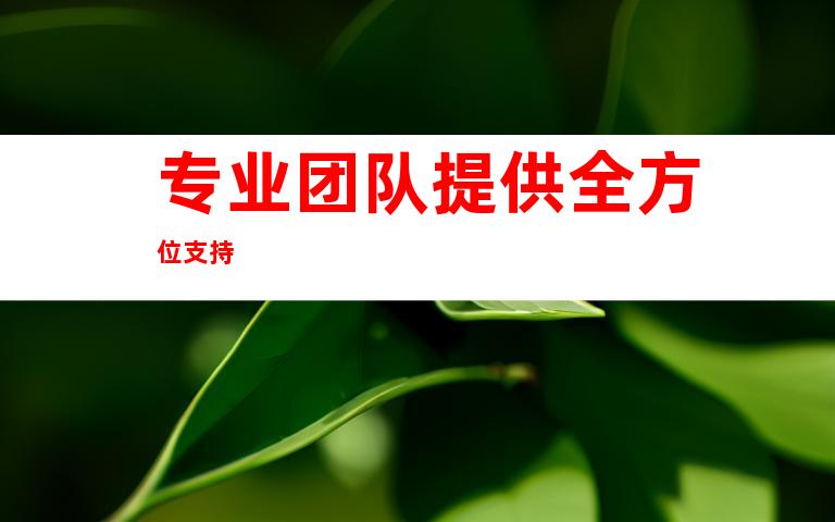 专业团队提供全方位支持