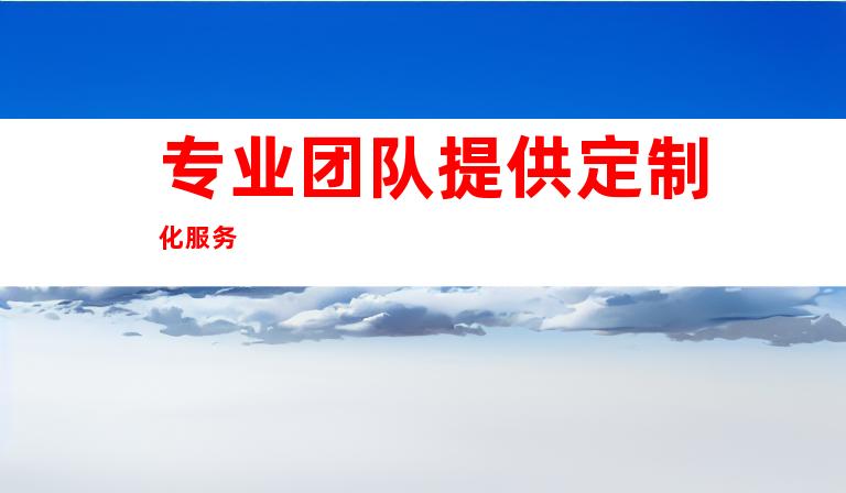 专业团队提供定制化服务