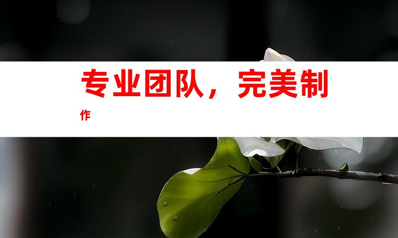 专业团队，完美制作