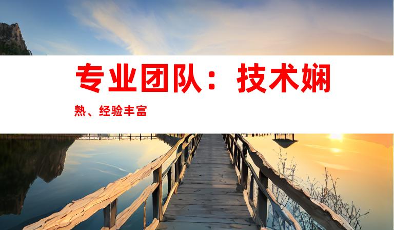 专业团队：技术娴熟、经验丰富