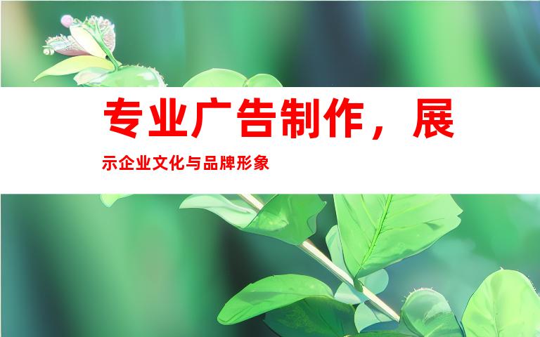 专业广告制作，展示企业文化与品牌形象