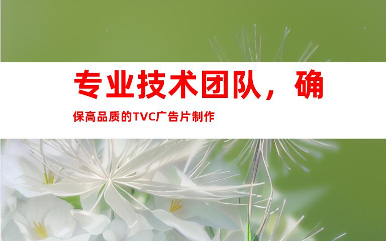 专业技术团队，确保高品质的TVC广告片制作