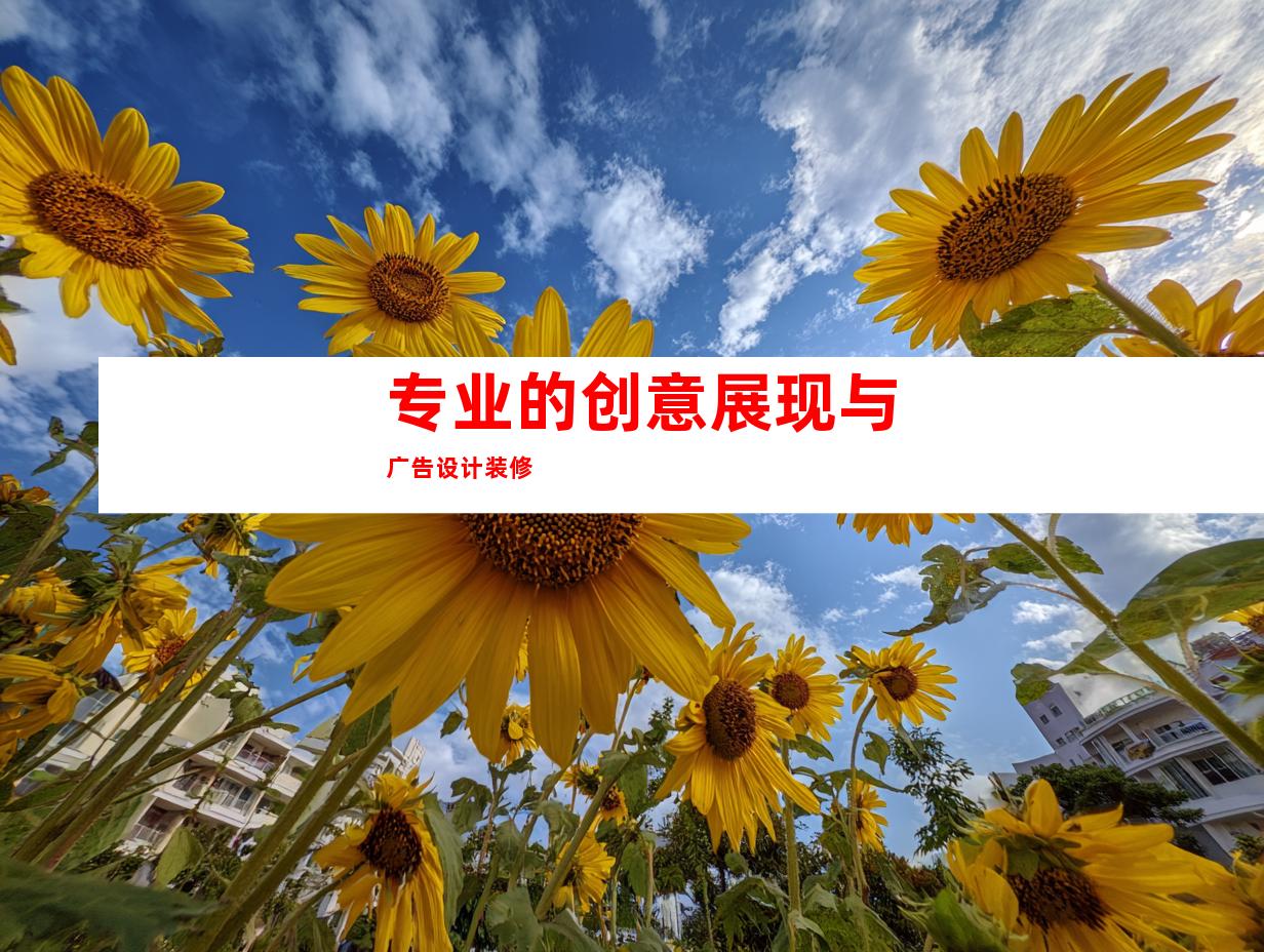 专业的创意展现与广告设计装修