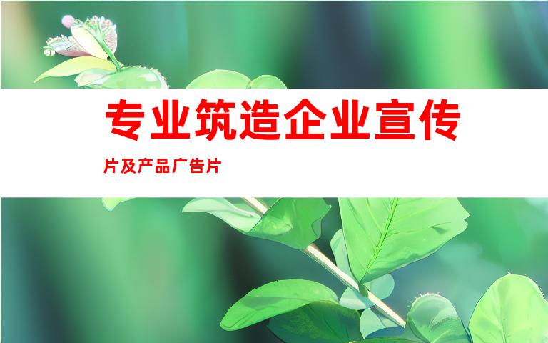 专业筑造企业宣传片及产品广告片