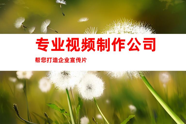 专业视频制作公司帮您打造企业宣传片