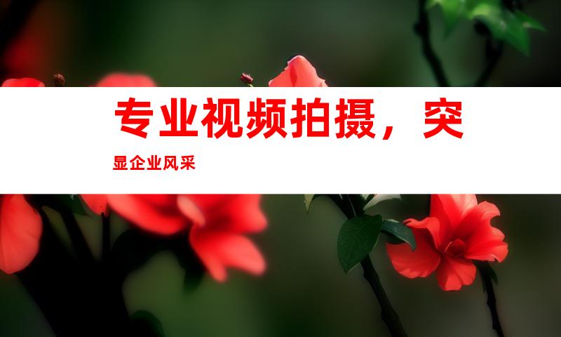 专业视频拍摄，突显企业风采