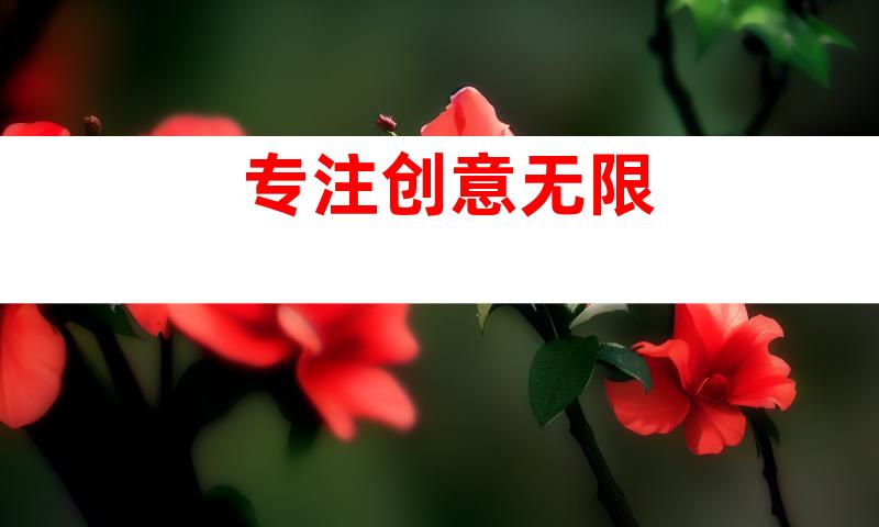 专注创意无限