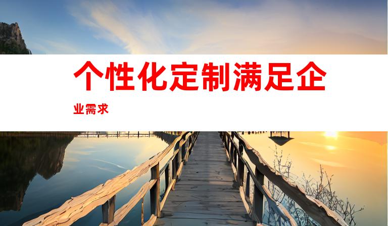 个性化定制满足企业需求