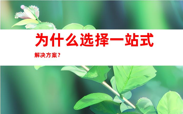 为什么选择一站式解决方案？