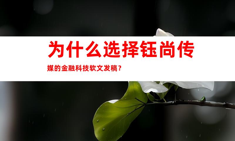 为什么选择钰尚传媒的金融科技软文发稿？