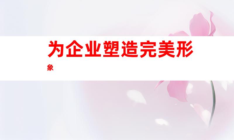 为企业塑造完美形象