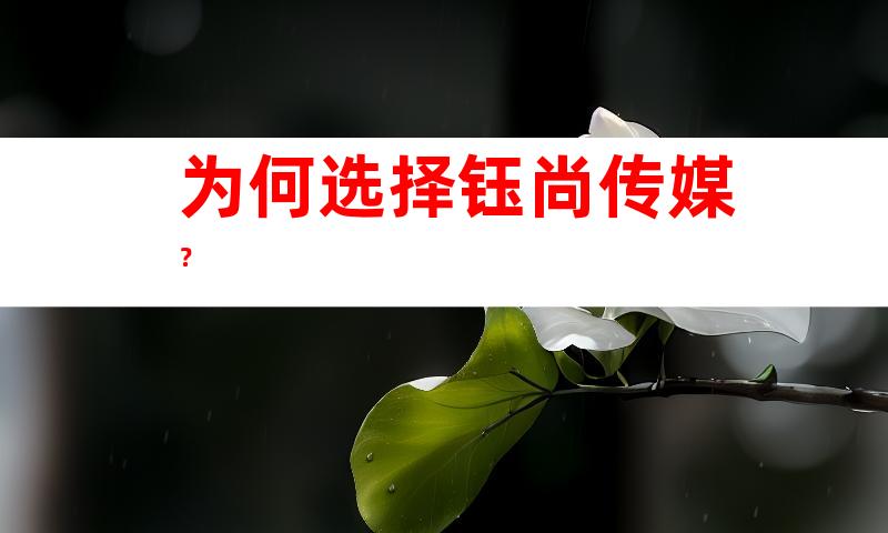 为何选择钰尚传媒？