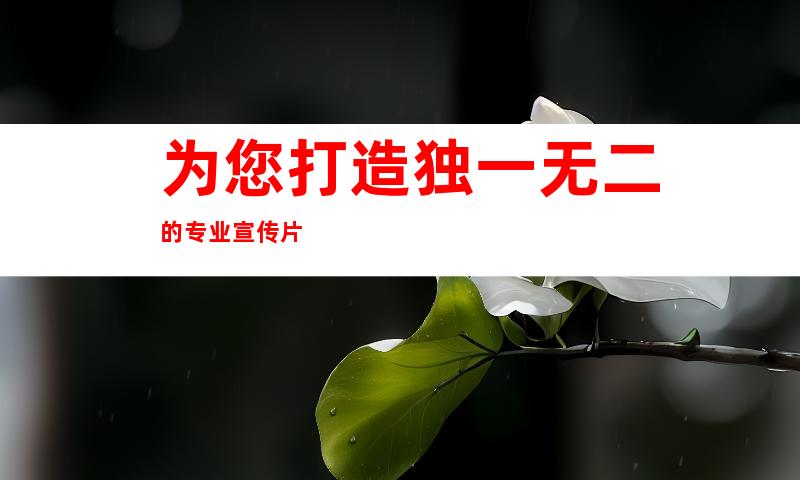 为您打造独一无二的专业宣传片