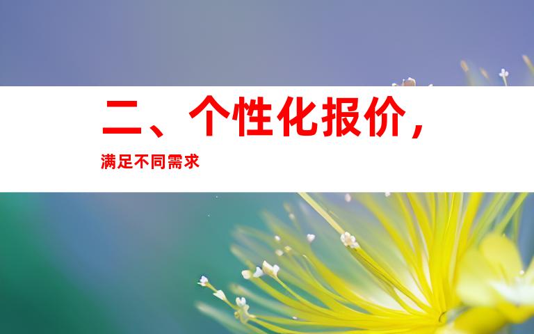 二、个性化报价，满足不同需求