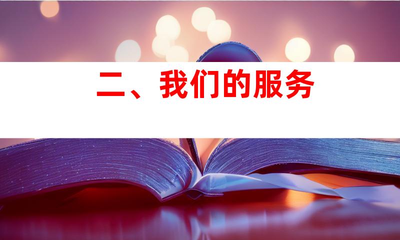 二、我们的服务