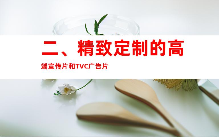 二、精致定制的高端宣传片和TVC广告片