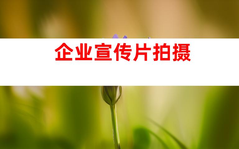 企业宣传片拍摄