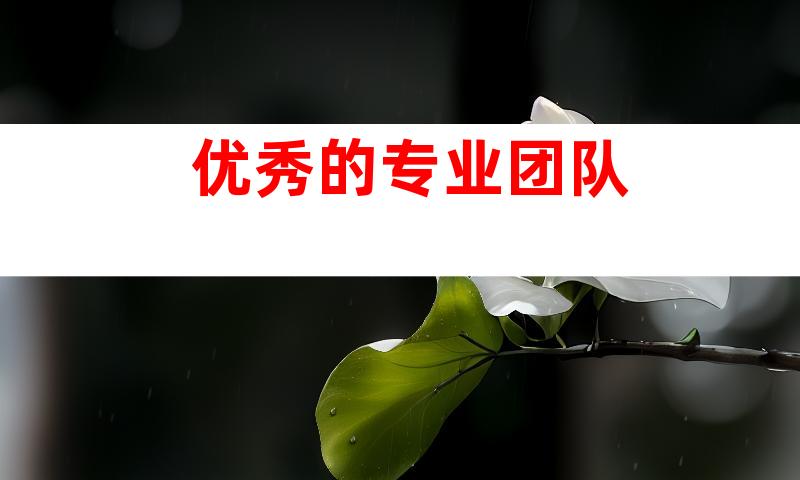 优秀的专业团队