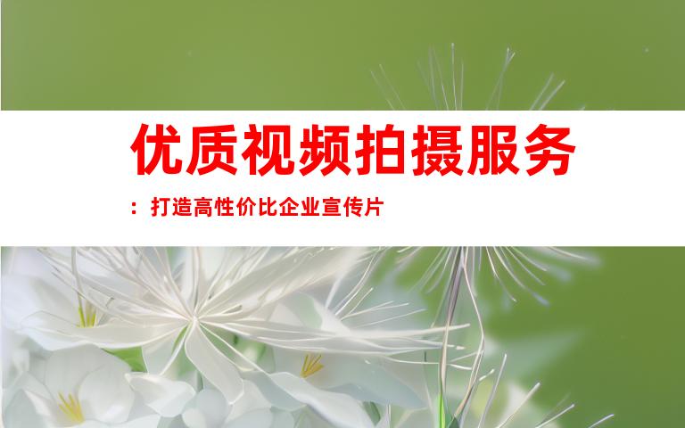 优质视频拍摄服务：打造高性价比企业宣传片