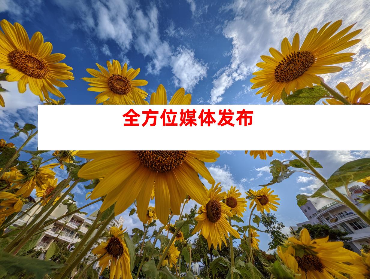 全方位媒体发布