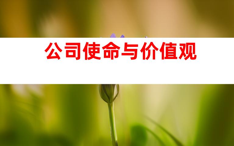 公司使命与价值观