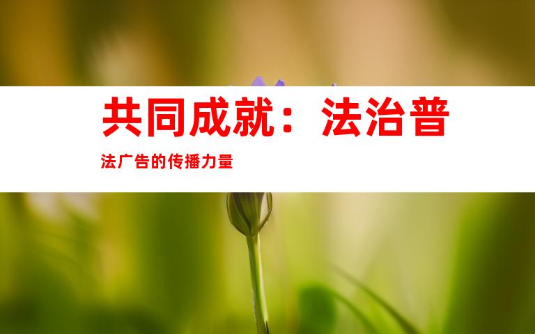 共同成就：法治普法广告的传播力量