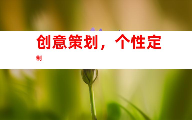 创意策划，个性定制