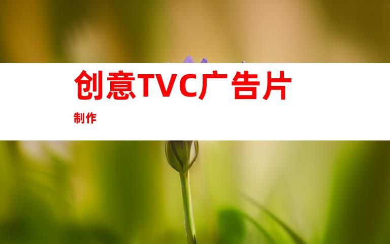 创意TVC广告片制作