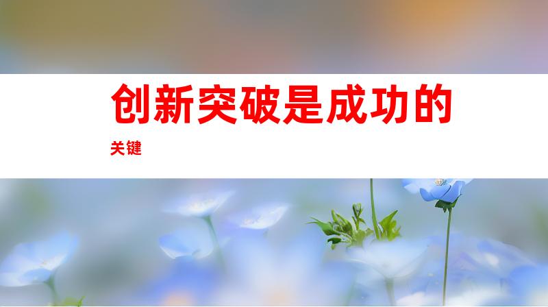 创新突破是成功的关键