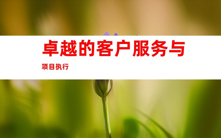 卓越的客户服务与项目执行