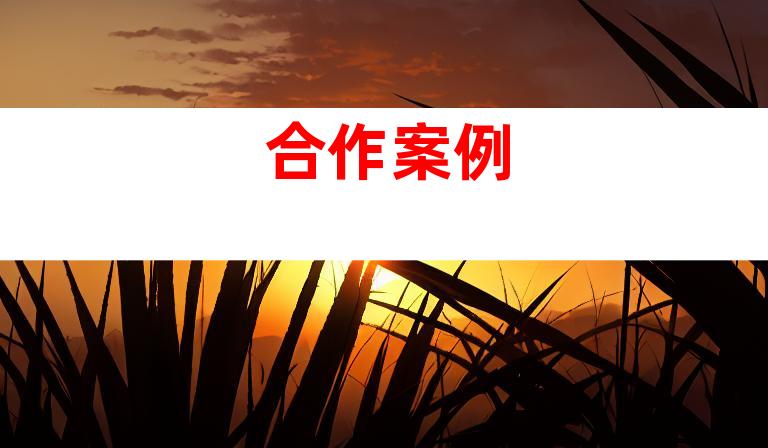 合作案例