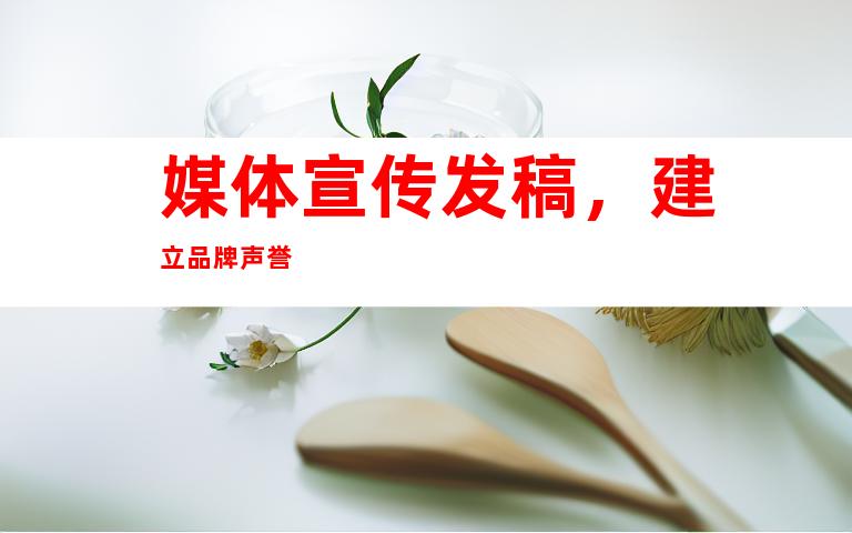 媒体宣传发稿，建立品牌声誉