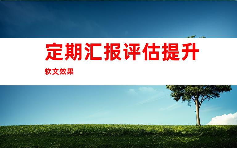 定期汇报评估提升软文效果