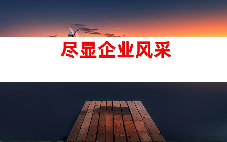 尽显企业风采