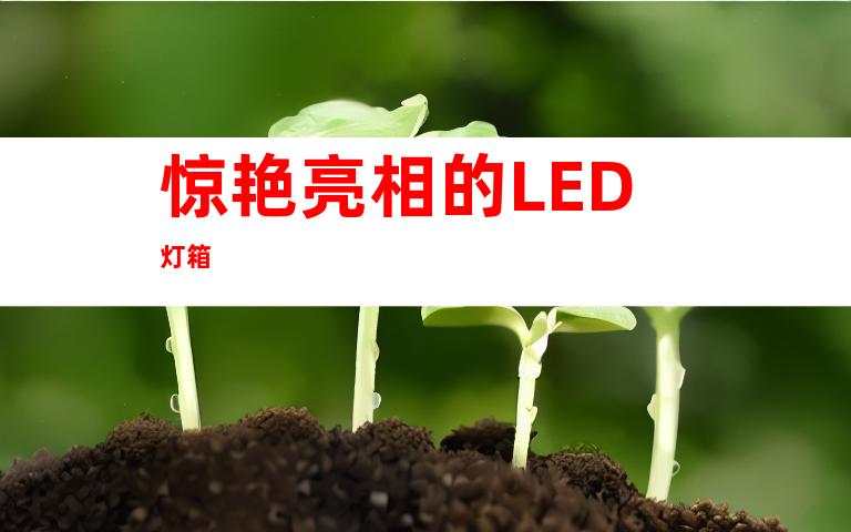 惊艳亮相的LED灯箱