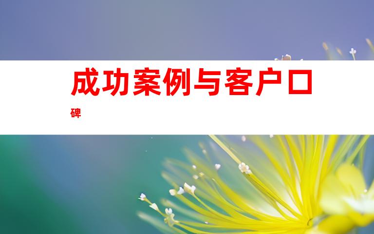 成功案例与客户口碑