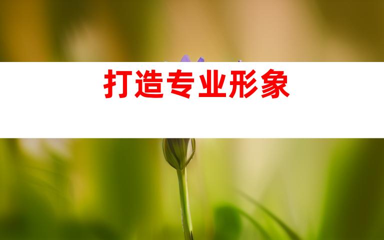 打造专业形象