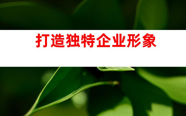 打造独特企业形象