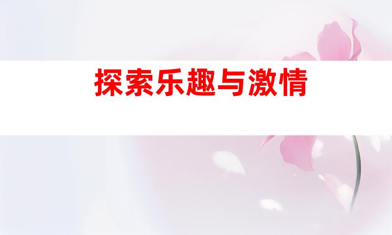 探索乐趣与激情